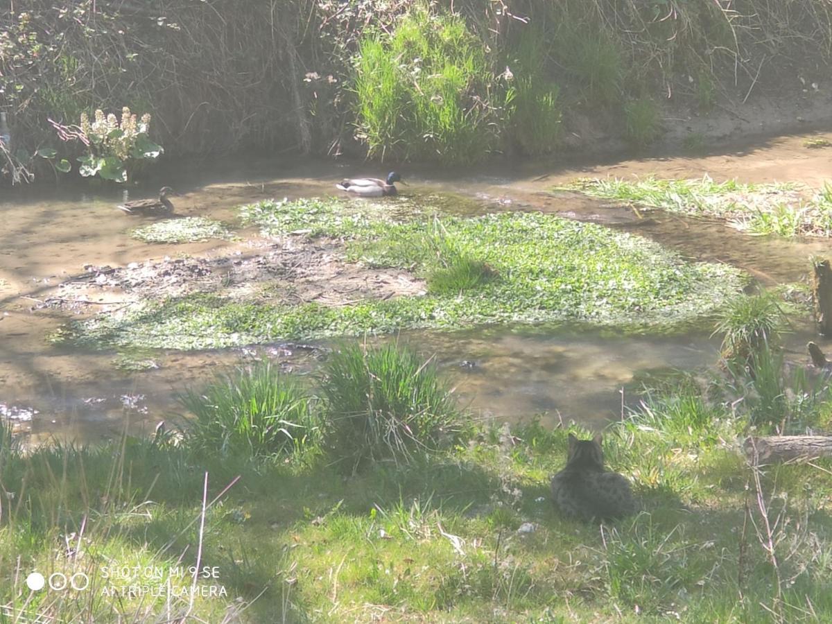 Osada Wloscianska Ojcow Buitenkant foto